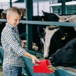 Baderke 6 Pcs Feed Scoop Plastic Enclosed Feed Scoop with Measure Marks Heavy Duty Durable Stackable Feed Scoop for Horse Goat Ranchers Livestock Homesteaders Feeding Supplies (Red)