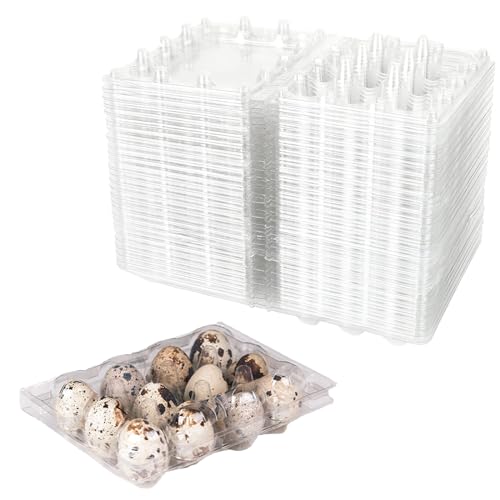 150-Pack Clear Plastic Quail Egg Cartons