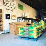 Homestead Harvest Non-GMO Quail Layer 26% for Laying Quail (40 lb)