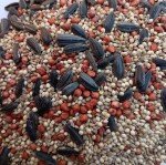 Dove Field Seed Mix - 5 LBS Game Bird Attractant for Dove, Quail, Turkey Habitat