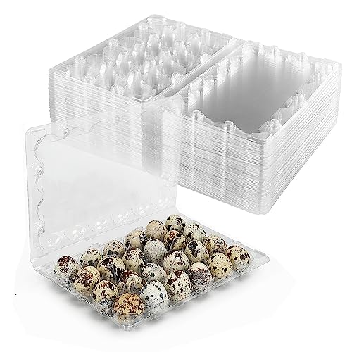 50 Pack Clear Plastic Egg Cartons for Quail