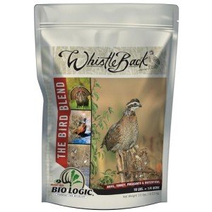 BioLogic Whistle Back Quail Food Plot Seed, Ideal for Bird Species, Quail, Turkeys, Pheasants, Doves & Waterfowl, Diversify and Promote Wildlife Growth, 10 lb Bag Plants 1/4 Acre