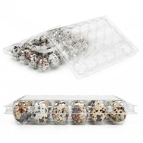 50 Pack Clear Plastic Egg Cartons for Quail