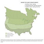 BioLogic Whistle Back Quail Food Plot Seed, Ideal for Bird Species, Quail, Turkeys, Pheasants, Doves & Waterfowl, Diversify and Promote Wildlife Growth, 10 lb Bag Plants 1/4 Acre