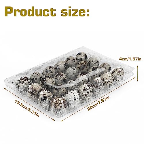 50 Pack Clear Plastic Egg Cartons for Quail