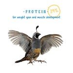 Manna Pro Gamebird Showbird Crumbles | Formulated with Vitamins & Minerals | 5 Pounds