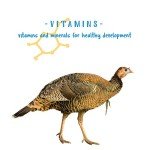 Manna Pro Gamebird Showbird Crumbles | Formulated with Vitamins & Minerals | 5 Pounds