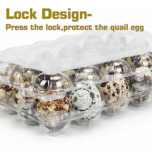 50 Pack Clear Plastic Egg Cartons for Quail