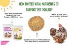 Vital Nutrients: Chicken Vitamins for Feed & Molting Supplement, Egg Booster, Poultry & Chicken Vitamins - Pampered Chicken Mama (1.5 pounds)