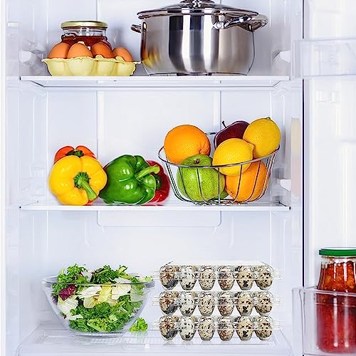 50 Pack Clear Plastic Egg Cartons for Quail