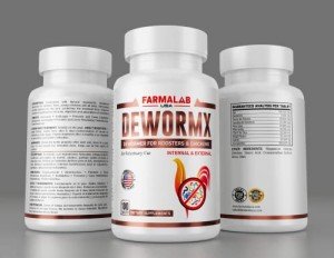 Generic Farmalab Natural Dewormer Internal & External 100 Tabs Poultry - Vitamin for Poultry Rooster Hen Chicken Baby Chick, hens