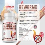 Generic Farmalab Natural Dewormer Internal & External 100 Tabs Poultry - Vitamin for Poultry Rooster Hen Chicken Baby Chick, hens