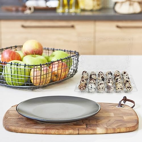 50 Pack Clear Plastic Egg Cartons for Quail