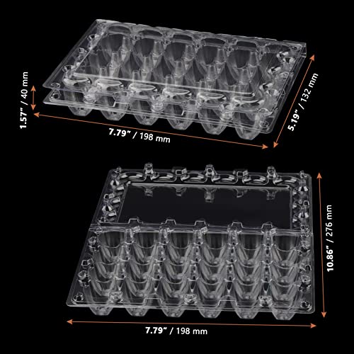 24-Grid Clear Quail Egg Cartons - 100 PCS