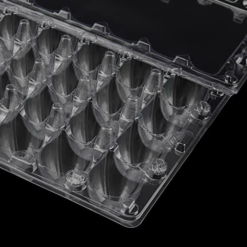 24-Grid Clear Quail Egg Cartons - 100 PCS