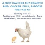 PetSilver Wound Spray Chicken & Bird Formula with Patented Chelated Silver, Healing Aid for Pecking Sores, Bumble Foot, Cuts, Wounds, Burns, and Skin Irritations, Chicken Care, Made in USA, 12 fl. oz.