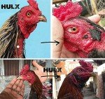 HULX 2 PCS, Rooster Booster Chicken Wound Care Skin Soother Healing 30 CC. Protection & Quickly Recover Skin Heal Wounds Pain After Fighting Fast Dries Work Well for Sore Mouth Face Feet Poultry Bird