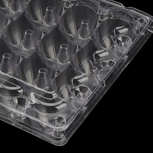 24-Grid Clear Quail Egg Cartons - 100 PCS