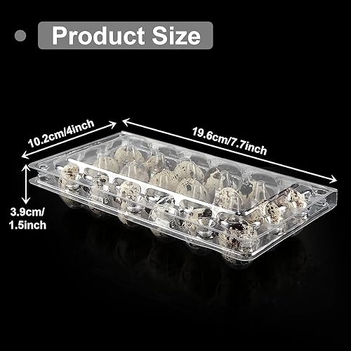 100 Clear Plastic Quail Egg Cartons - 18 Grids