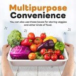 GSM Brands Pizza Dough Proofing Box - Stackable Commercial Quality Trays with Covers (17.25 x 13 Inches) - 2 Trays and 2 Covers