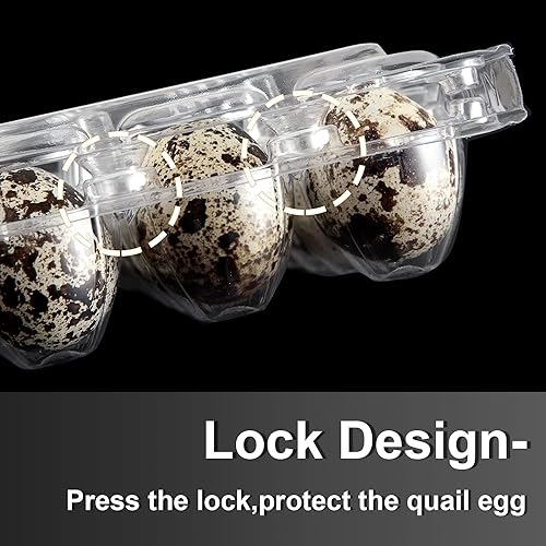 100 Clear Plastic Quail Egg Cartons - 18 Grids