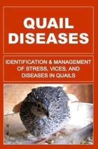 Quail Diseases: Identification And Management of Stress, Vices, And Diseases...