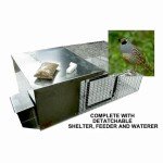 best quail recall pen made and enclosed 40% of it with galvinized aluminium