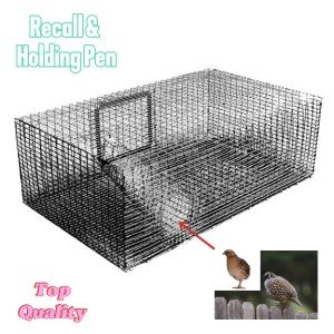 best Quail Recall & Holding Pen heavy gauge galvanized wire for long life