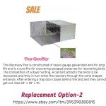 best quail recall pen made and enclosed 40% of it with galvinized aluminium