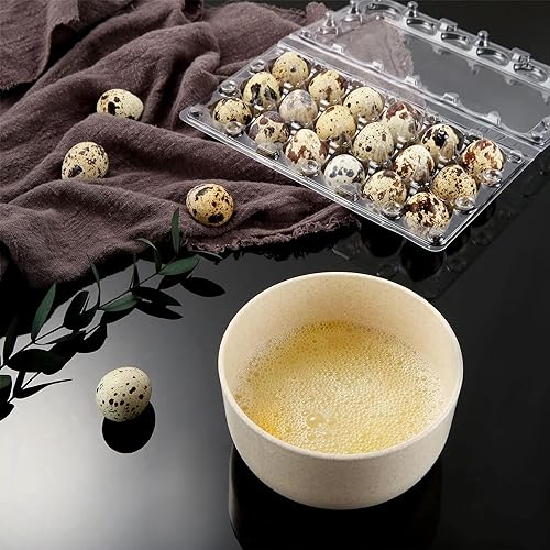 100 Clear Plastic Quail Egg Cartons - 18 Grids