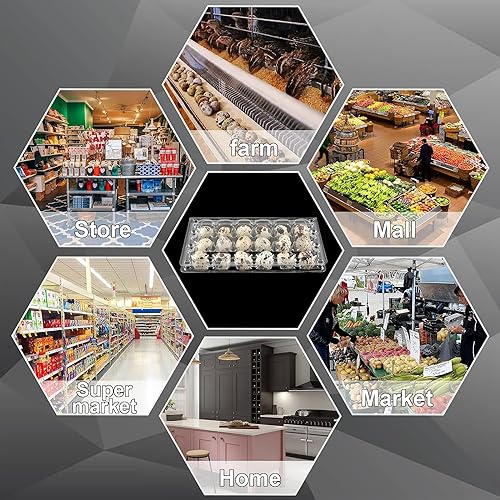 100 Clear Plastic Quail Egg Cartons - 18 Grids