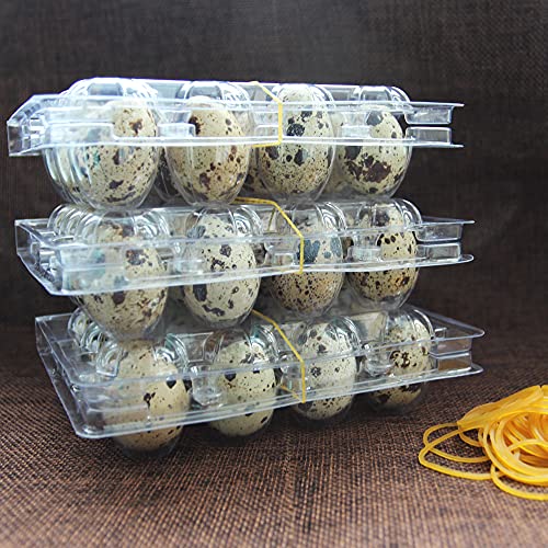 Quail Egg Cartons, 100-Pack Plastic Holder