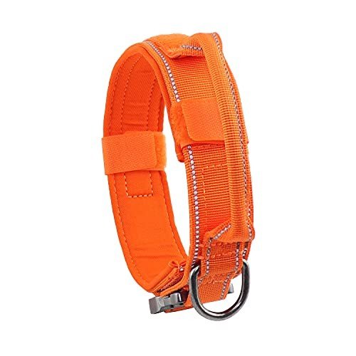 Training Collars