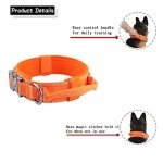 Yunleparks Tactical Dog Collar Heavy Duty Dog Collar with Metal Buckle and Control Handle for Medium Large Dogs Training (Orange, Medium (Pack of 1))