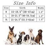 Yunleparks Tactical Dog Collar Heavy Duty Dog Collar with Metal Buckle and Control Handle for Medium Large Dogs Training (Orange, Medium (Pack of 1))