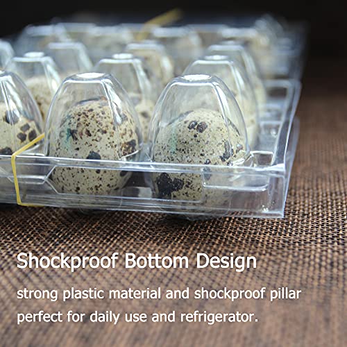Quail Egg Cartons, 100-Pack Plastic Holder