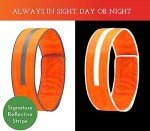 SPOT THE DOG! Reflective Dog Collar - Adjustable Pet Collars, Safe, Durable, Comfortable Dog Walking Accessories for Medium Dog, Hunting Dog, Puppy, Lightweight Boy, Girl Dog Collars (Blaze Orange, M)