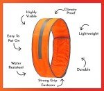 SPOT THE DOG! Reflective Dog Collar - Adjustable Pet Collars, Safe, Durable, Comfortable Dog Walking Accessories for Medium Dog, Hunting Dog, Puppy, Lightweight Boy, Girl Dog Collars (Blaze Orange, M)
