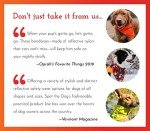 SPOT THE DOG! Reflective Dog Collar - Adjustable Pet Collars, Safe, Durable, Comfortable Dog Walking Accessories for Medium Dog, Hunting Dog, Puppy, Lightweight Boy, Girl Dog Collars (Blaze Orange, M)