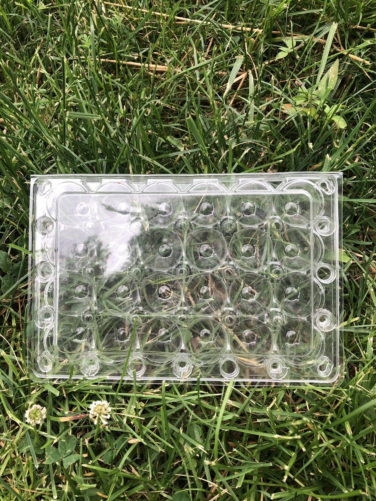 Jumbo Quail Egg Cartons - 100 Pack, 24 Ct