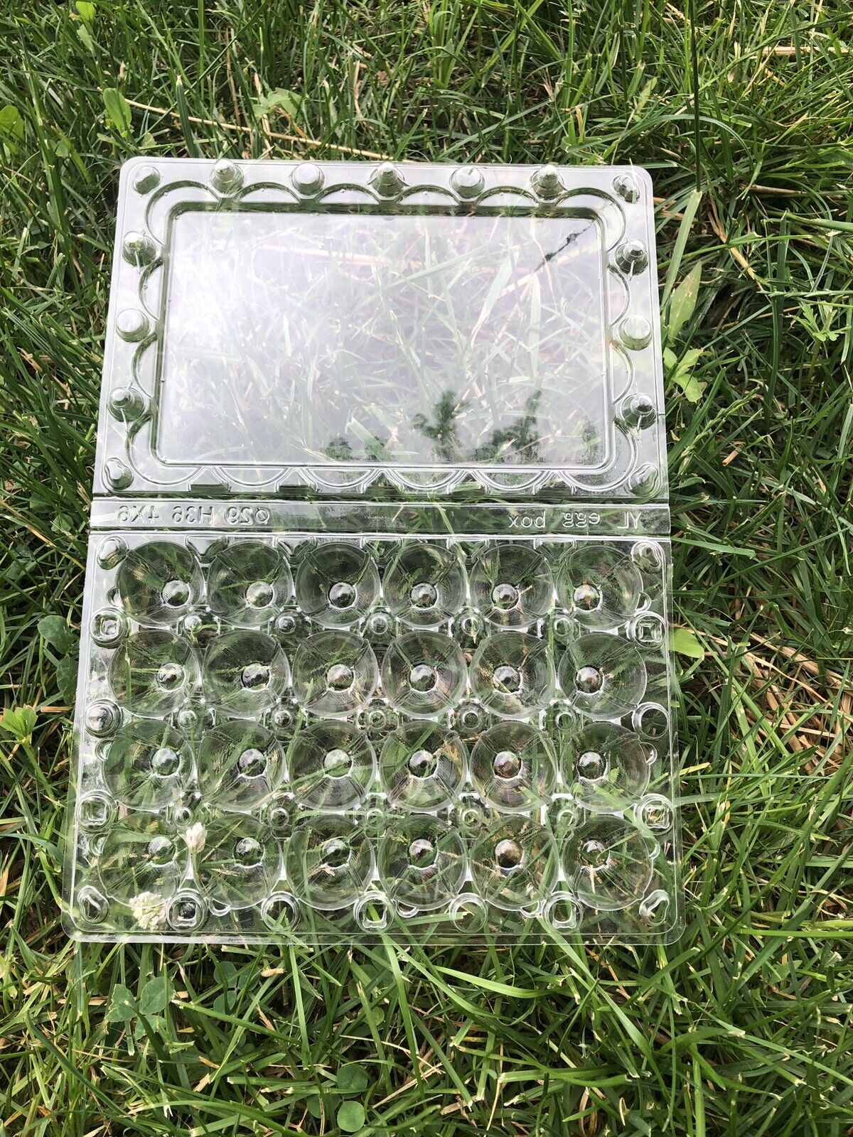 Jumbo Quail Egg Cartons - 100 Pack, 24 Ct