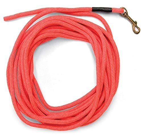 Check Leads