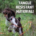 DogBone RigidBuilt Tracking Leash & Check Cord (30ft) | Long Dog Leash 30 Feet | Hunting Dog Accessories | Long Leash for Dogs | Waterproof Dog Leash | Heavy Duty Dog Leash