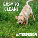 DogBone RigidBuilt Tracking Leash & Check Cord (30ft) | Long Dog Leash 30 Feet | Hunting Dog Accessories | Long Leash for Dogs | Waterproof Dog Leash | Heavy Duty Dog Leash