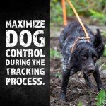 DogBone RigidBuilt Tracking Leash & Check Cord (30ft) | Long Dog Leash 30 Feet | Hunting Dog Accessories | Long Leash for Dogs | Waterproof Dog Leash | Heavy Duty Dog Leash