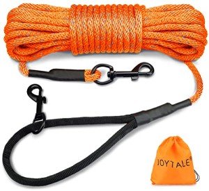 Joytale Long Dog Training Leash, 30 FT Tie Out Rope Check Cord Dogs Leashes with Padded Handle, Reflective Recall Lead for Puppy and Small Dogs, Orange