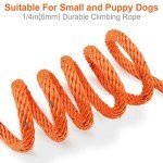 Joytale Long Dog Training Leash, 30 FT Tie Out Rope Check Cord Dogs Leashes with Padded Handle, Reflective Recall Lead for Puppy and Small Dogs, Orange