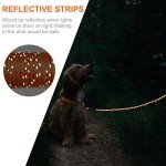 Joytale Long Dog Training Leash, 30 FT Tie Out Rope Check Cord Dogs Leashes with Padded Handle, Reflective Recall Lead for Puppy and Small Dogs, Orange