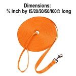 Hi Kiss Dog/Puppy Obedience Recall Training Agility Lead - 15ft 20ft 30ft 50ft 100ft Leash - Great for Play, Camping, or Backyard - Orange 30ft