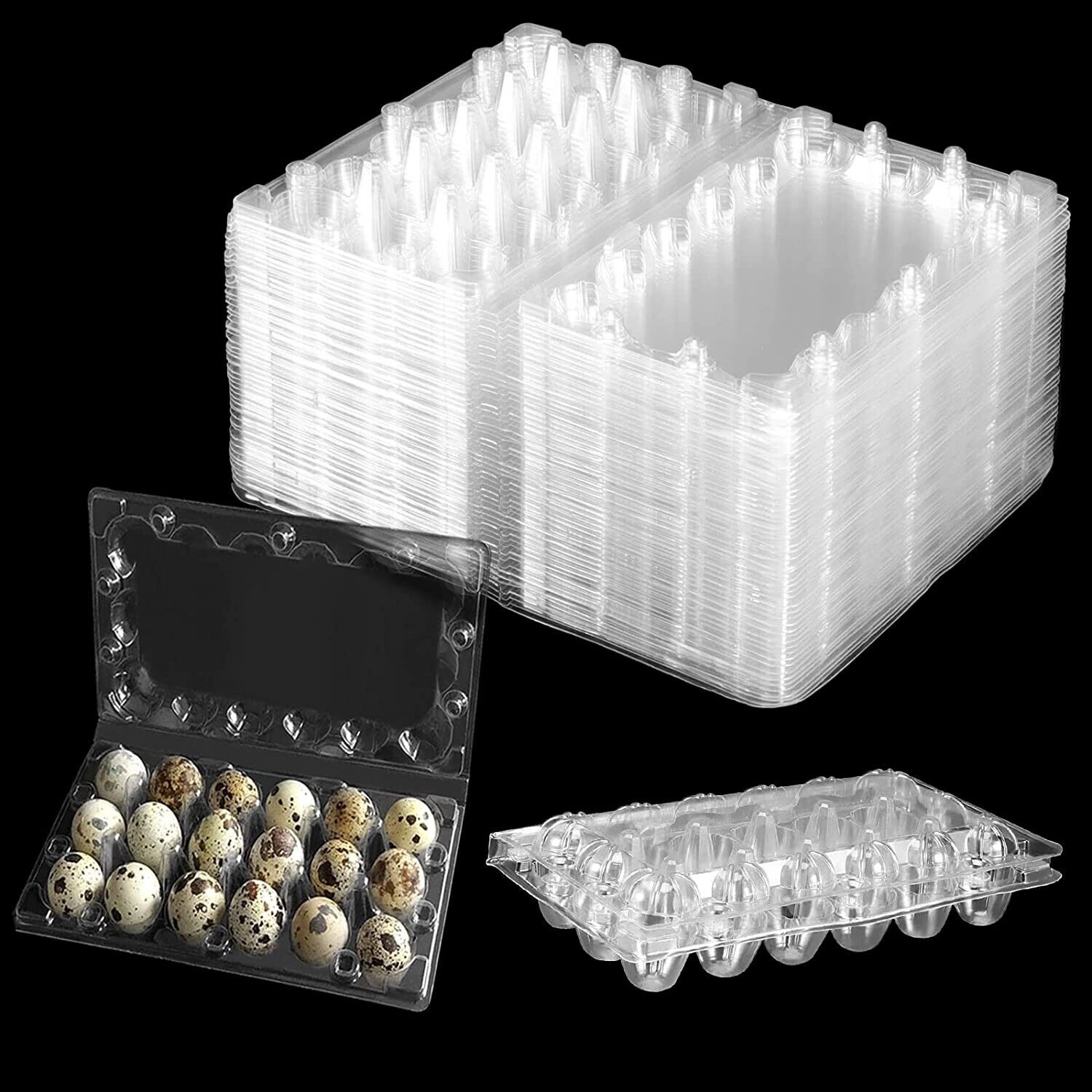 50 Pack Jumbo Egg Cartons for Quail Eggs